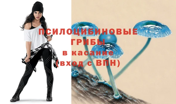 прущая мука Ельня