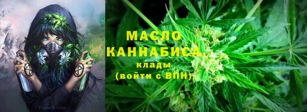 соль ск Елабуга