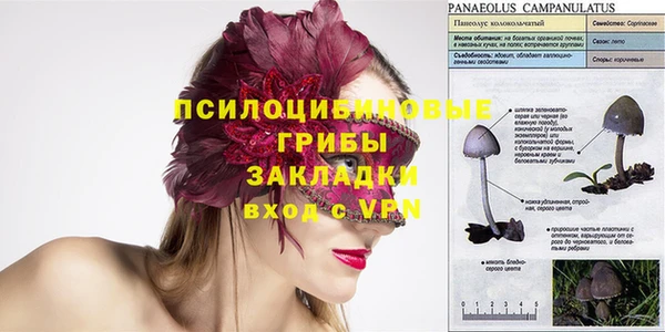 а пвп мука Елизово